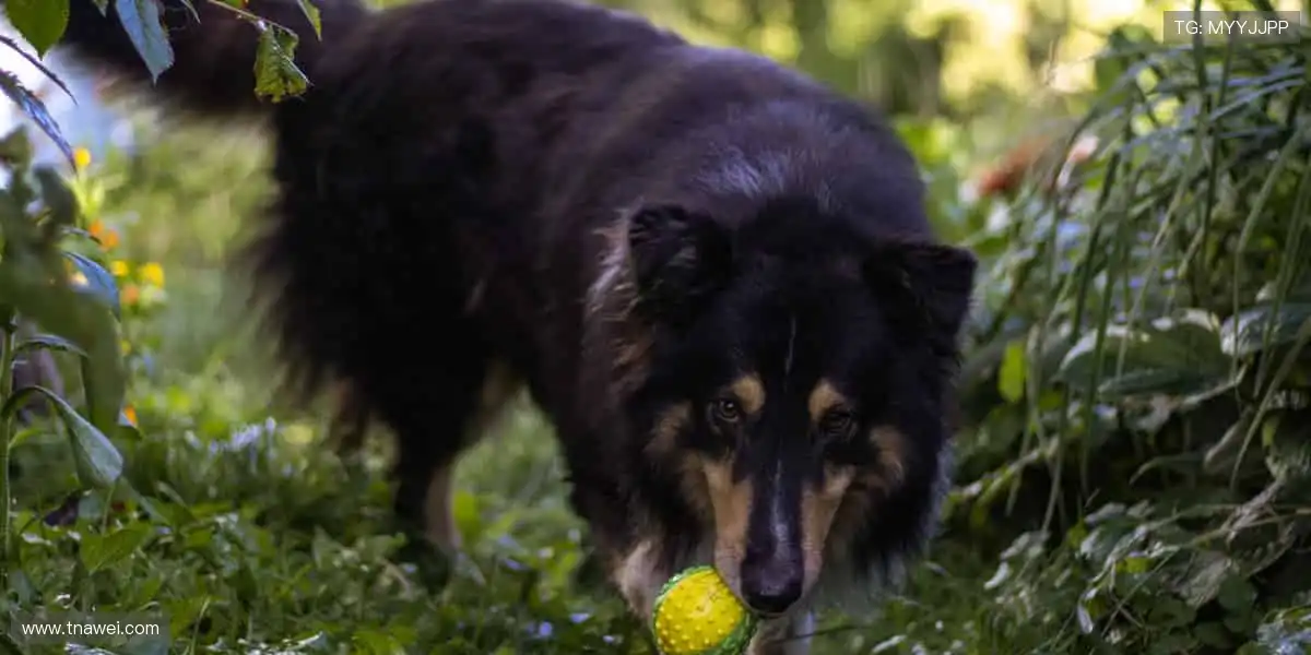 🎯 周边装备，让热爱触手可及！